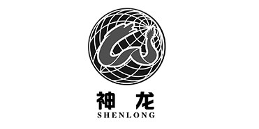 神龙集团战略