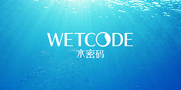 丹姿品牌定位
