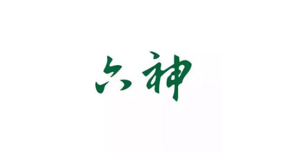 六神日化用品品牌战略
