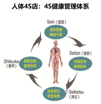 美容品牌战略,美容连锁品牌战略,馨园美容品牌战略