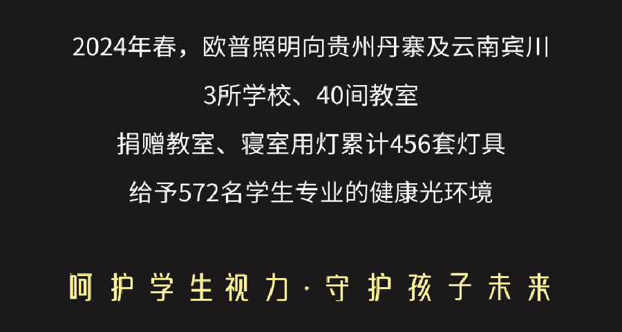 欧普照明战略分析